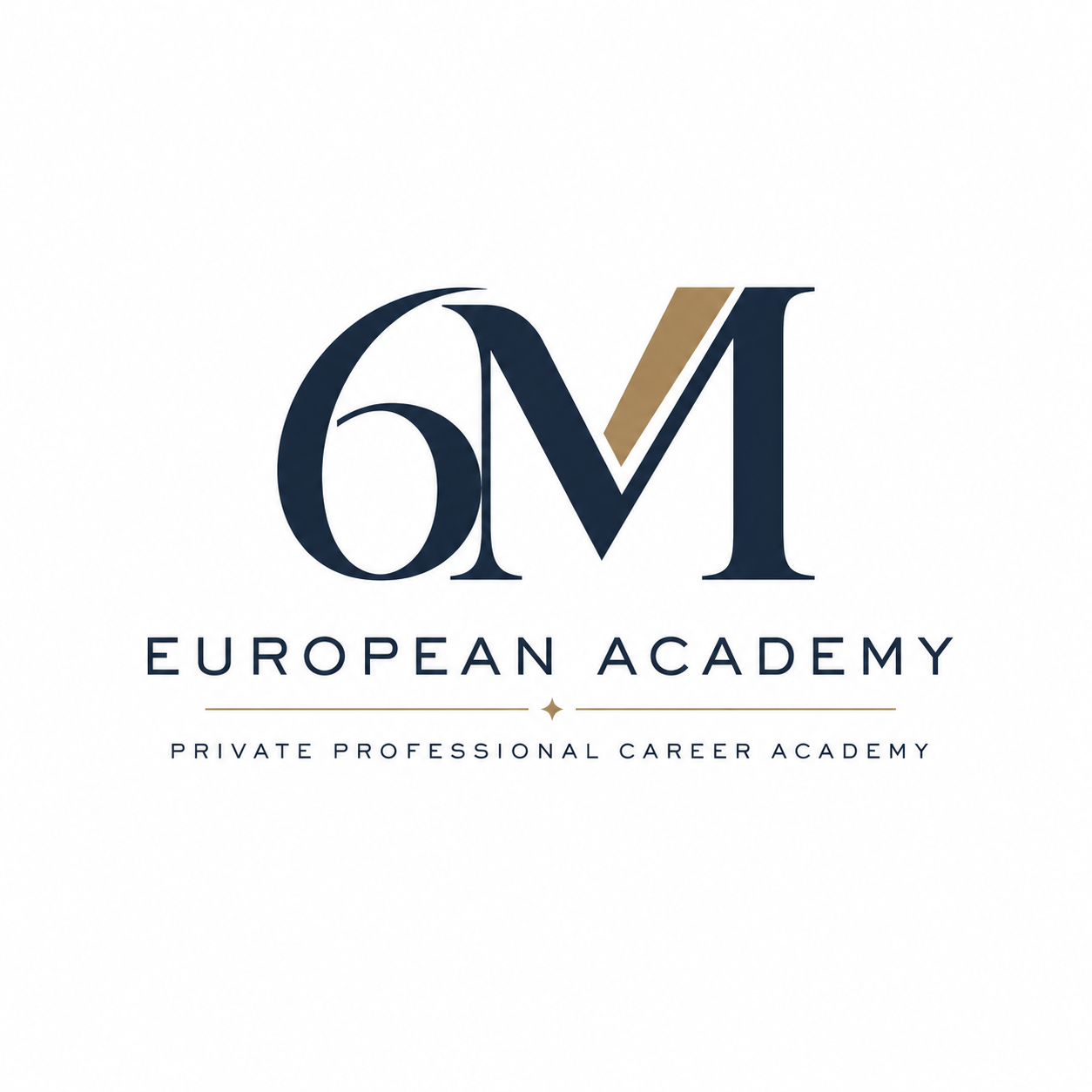 6M European Academy